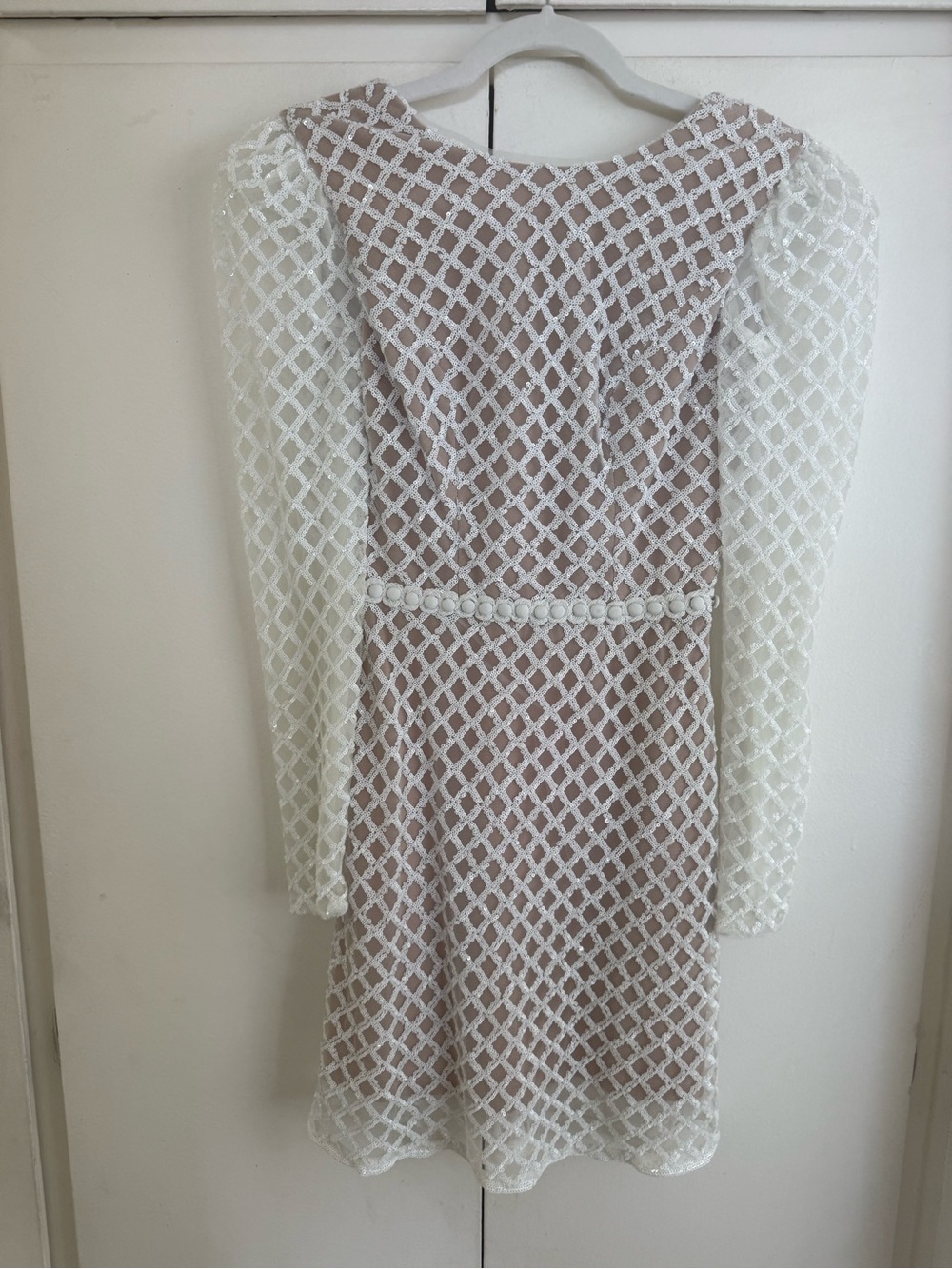 Dress the Population White Lace Long-Sleeve Overlay Dress with Blush Lining